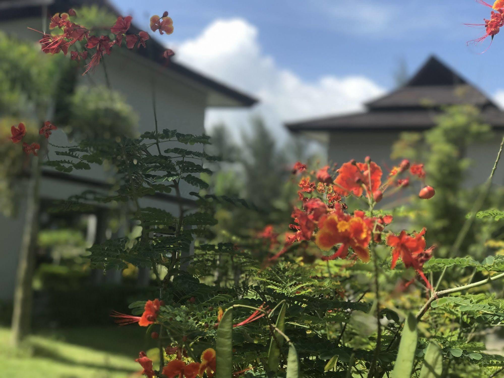 Bang Sak The Hip Resort @ Khao Lak מראה חיצוני תמונה